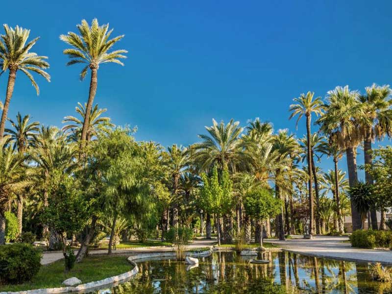Botanische tuinen Elche