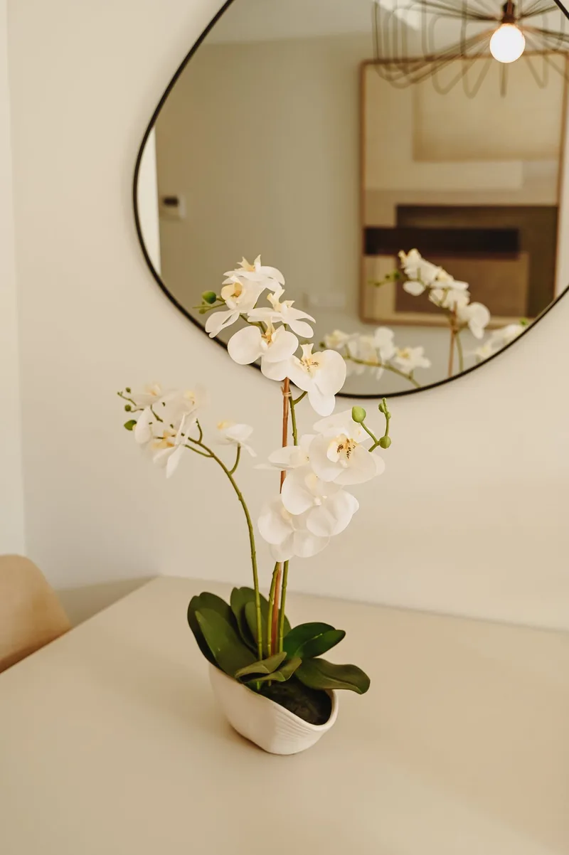 Woonkamer & Keuken — foto 7
